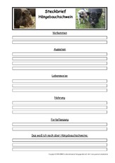 Hängebauchschwein-Steckbriefvorlage.pdf
